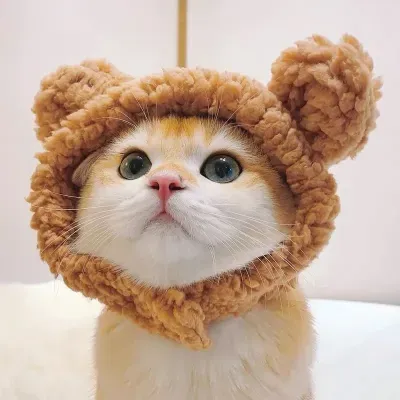 2025 new pet hat, teddy bear plush headband