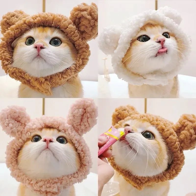 2025 new pet hat, teddy bear plush headband