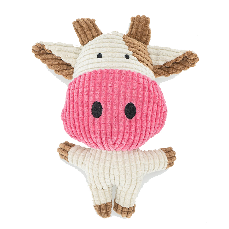 dog toy