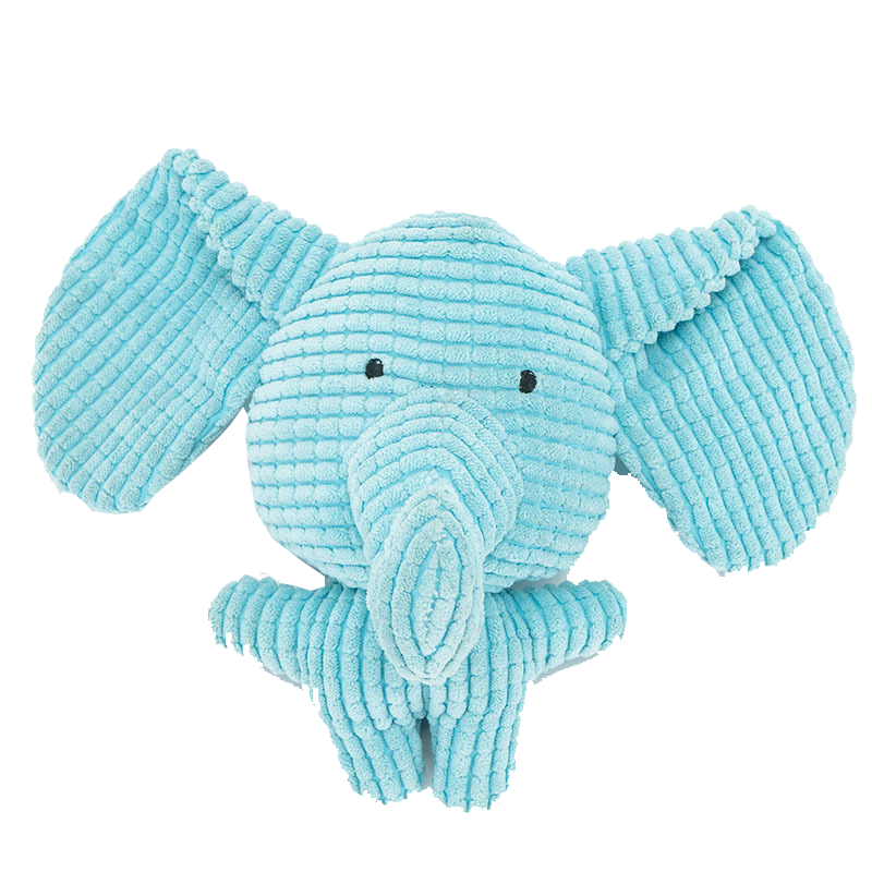dog toy