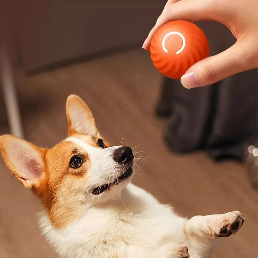 Automatic Moving Bouncing Interactive Dog Toy Ball