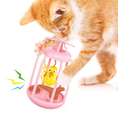 Bird Cage Toy