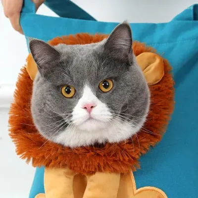 Cat Carriers Funny Lion Shaped Pet Bag Breathable