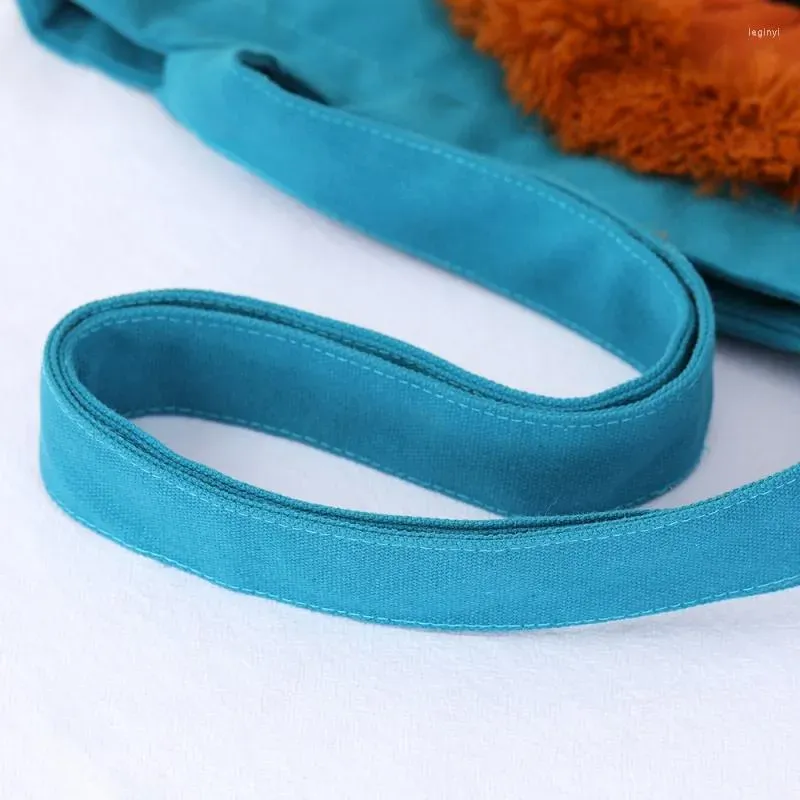 Cat Carriers Funny Lion Shaped Pet Bag Breathable