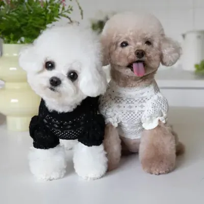 Dog Clothes Lace Winter Lace Lining