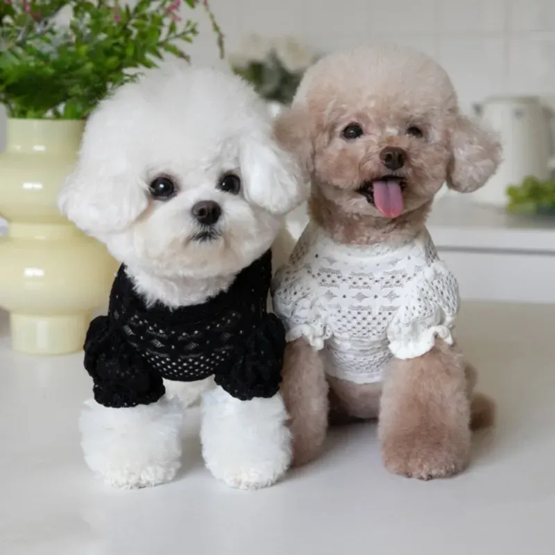 Dog Clothes Lace Winter Lace Lining