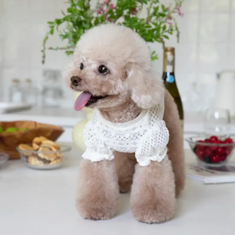Dog Clothes Lace Winter Lace Lining