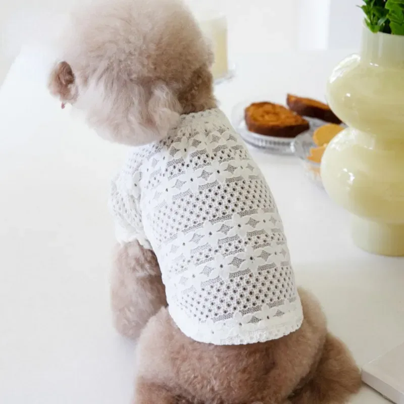 Dog Clothes Lace Winter Lace Lining