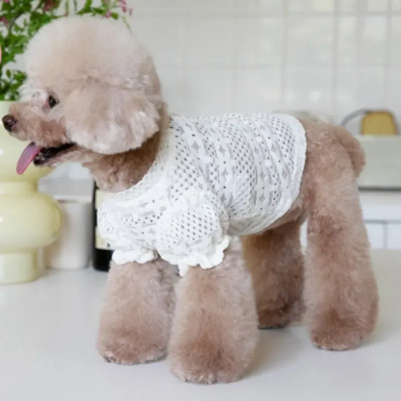 Dog Clothes Lace Winter Lace Lining