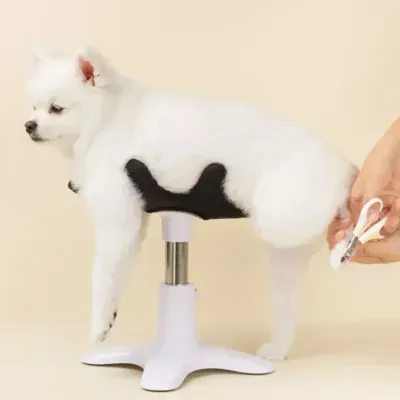 Dog Grooming Beauty Fixed Table