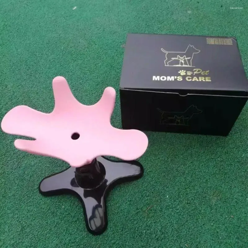Dog Grooming Beauty Fixed Table