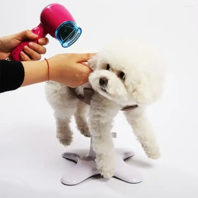 Dog Grooming Beauty Fixed Table