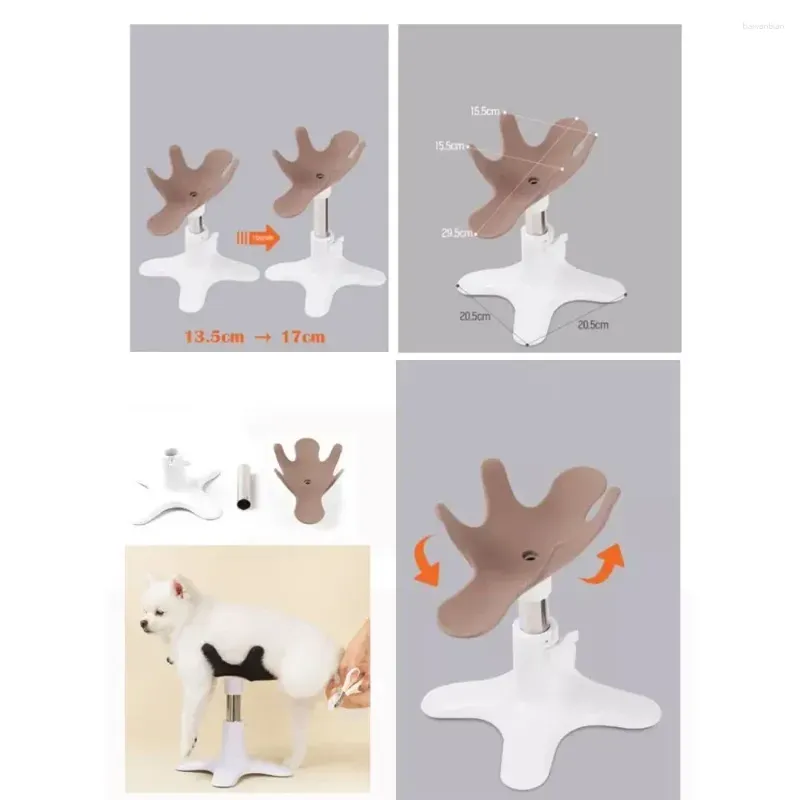 Dog Grooming Beauty Fixed Table