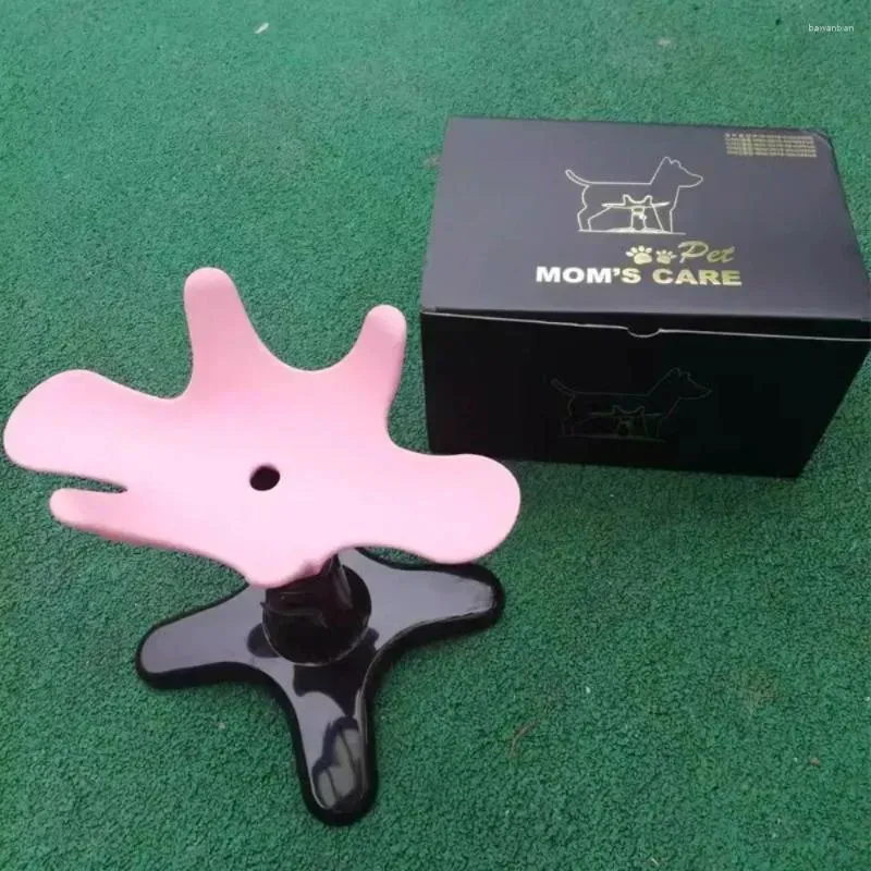 Dog Grooming Beauty Fixed Table