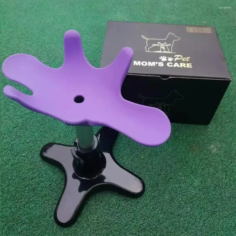 Dog Grooming Beauty Fixed Table