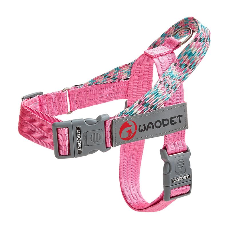 Dog Leash, Pet Collar, Leash Set for Walking Dogs