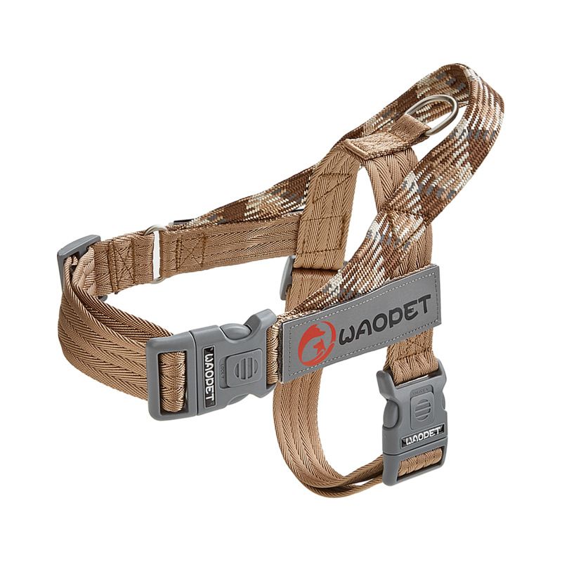 Dog Leash, Pet Collar, Leash Set for Walking Dogs