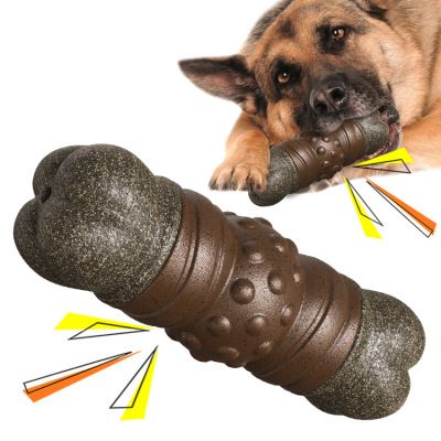 Dog Noisy Chew Toy