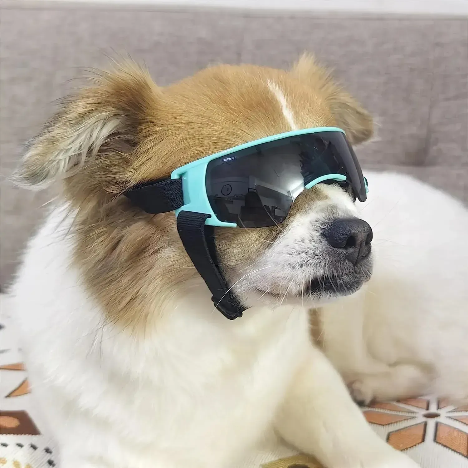 Dog Sunglasses Small Breed Dog Goggles