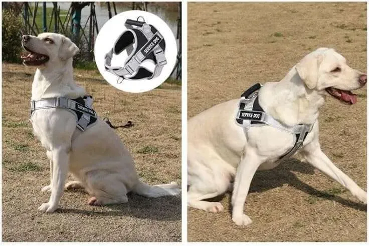 Dog Traction Rope Vest Style