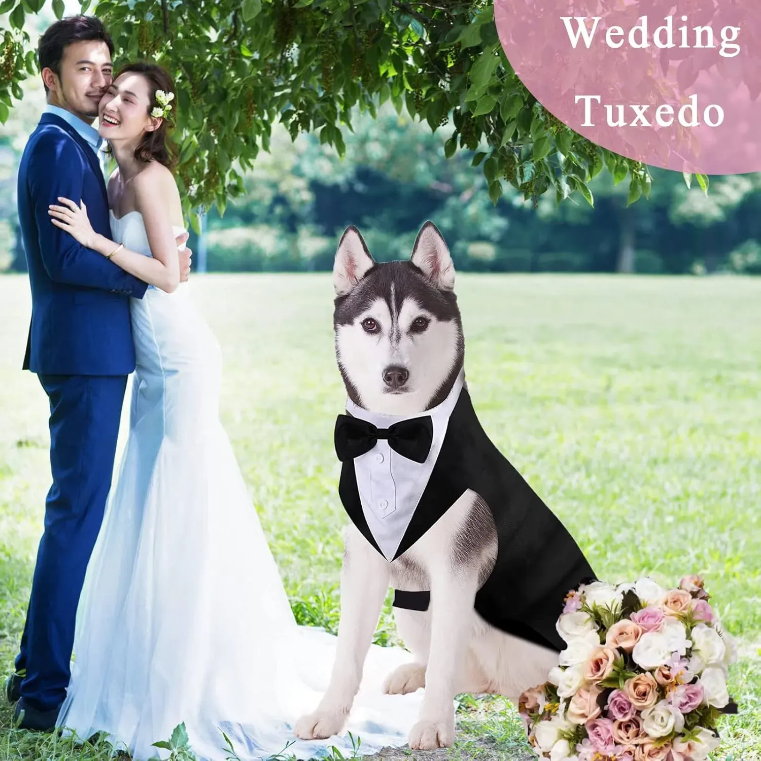 Dog Tuxedo Suit and Bandana Set