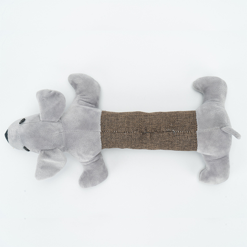 teddy puppy
