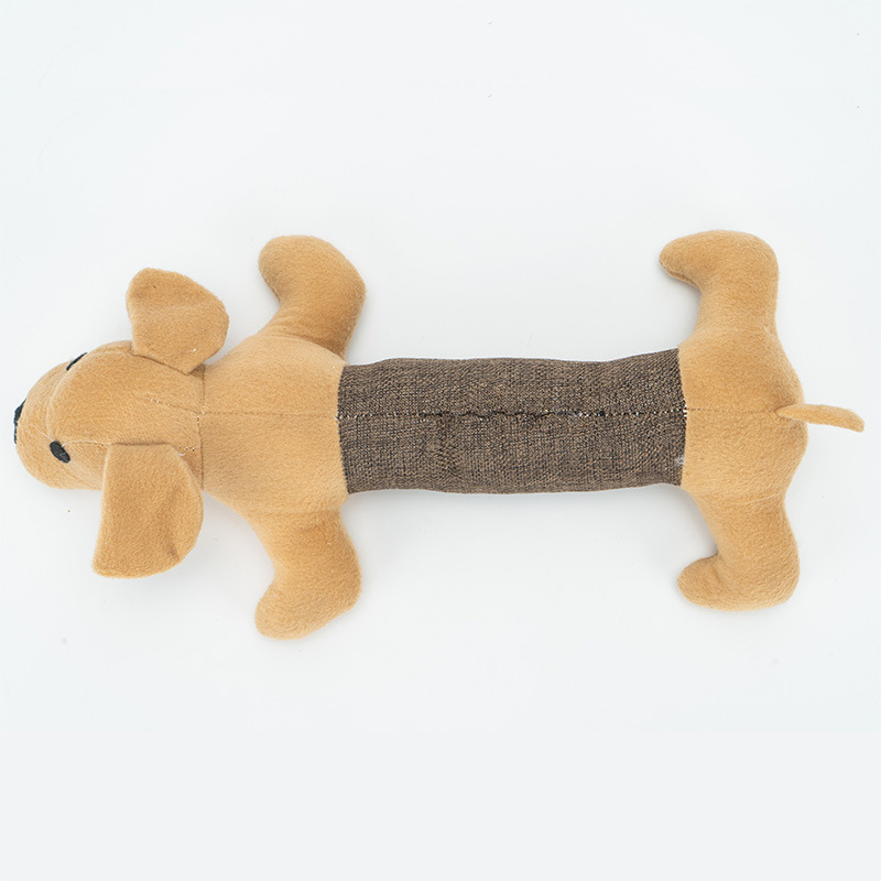 teddy puppy