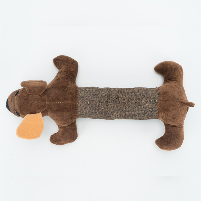 teddy puppy