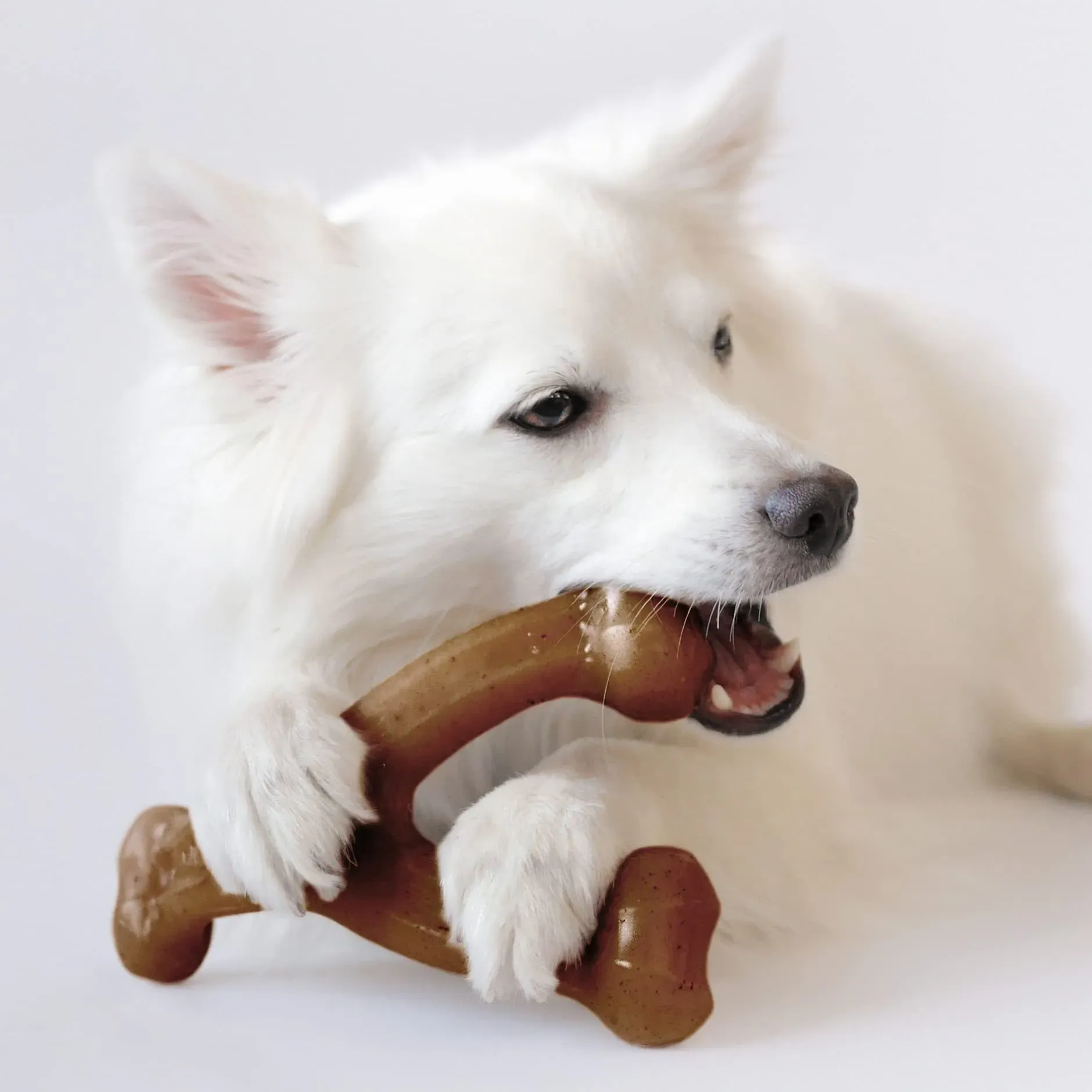 Durable Dog Chew Toy