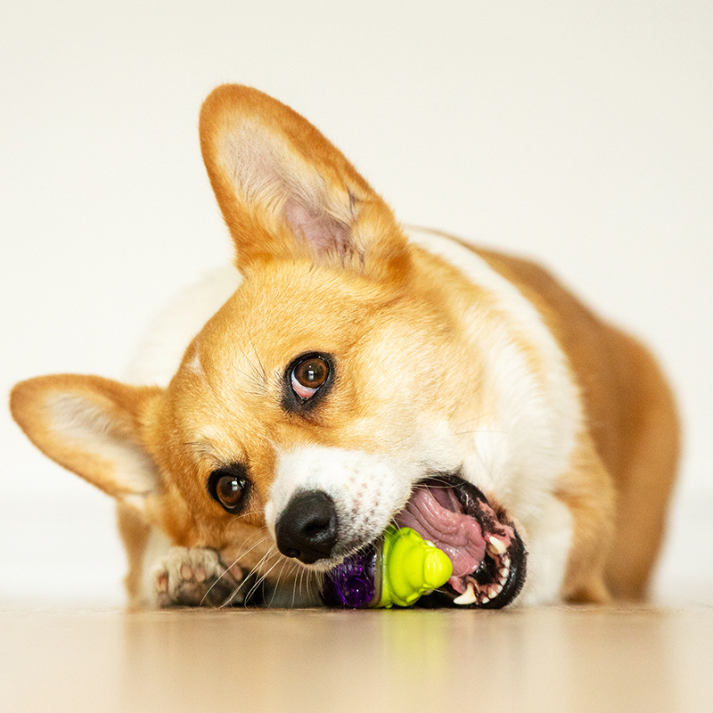 rubber vocal pet toy relief