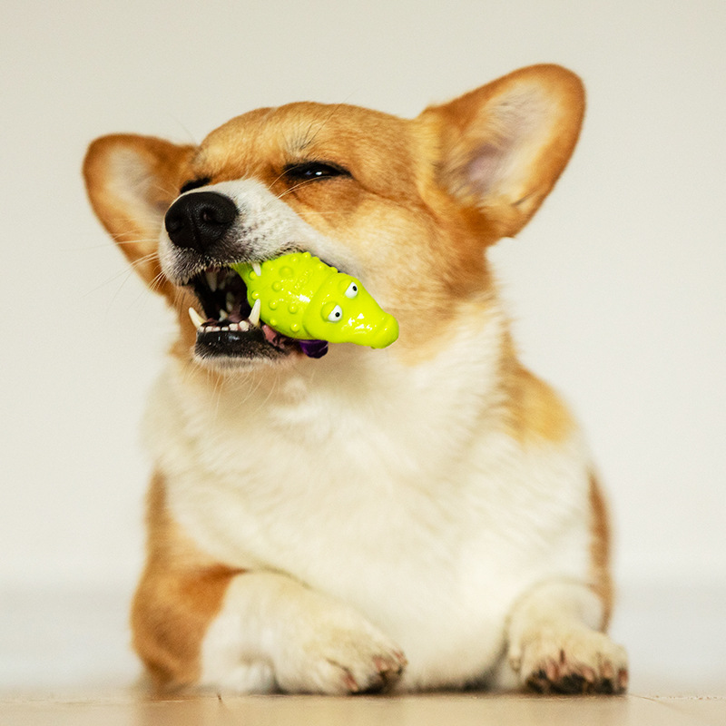 rubber vocal pet toy relief