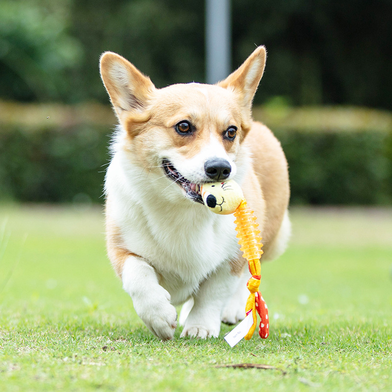 rubber toy sound