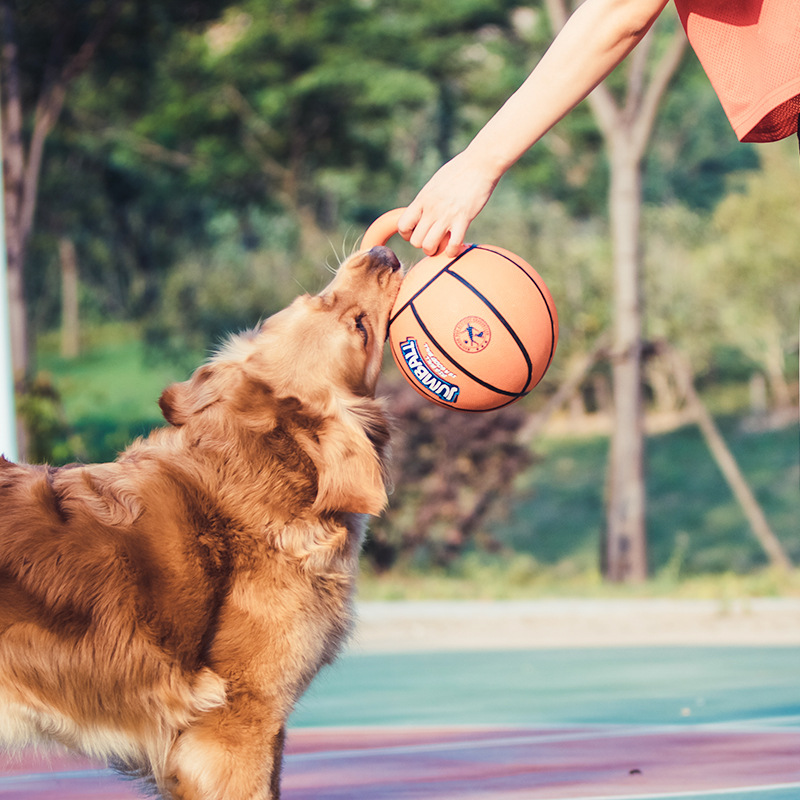 GiGwi dog toy ball Jianbao ball outdoor medium and large dog bite resistance training side grazing golden retriever elastic ball