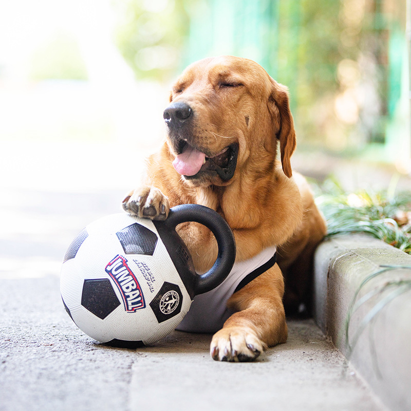 GiGwi dog toy ball Jianbao ball outdoor medium and large dog bite resistance training side grazing golden retriever elastic ball