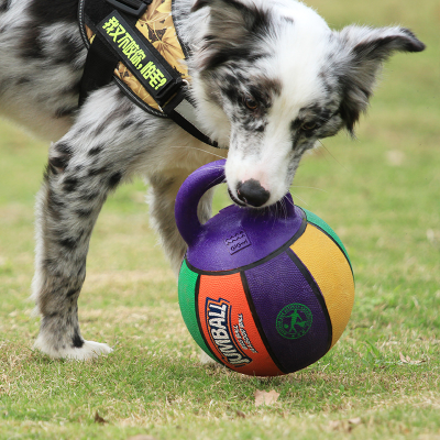 GiGwi dog toy ball Jianbao ball outdoor medium and large dog bite resistance training side grazing golden retriever elastic ball