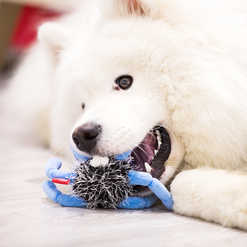 GiGwi dog toy eggshell simulation plush rubber toy bite resistant teeth pet toy vocalization