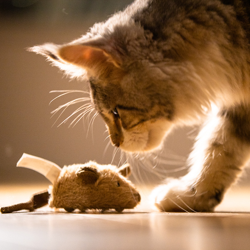 Bird Mouse Vocal Simulation Toy