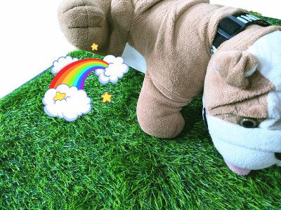 Multi-Functional Pet Pee Pad: Convenient Indoor Grass Mat for Dogs & Cats