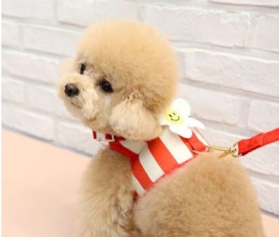 Pet Breathable Harness