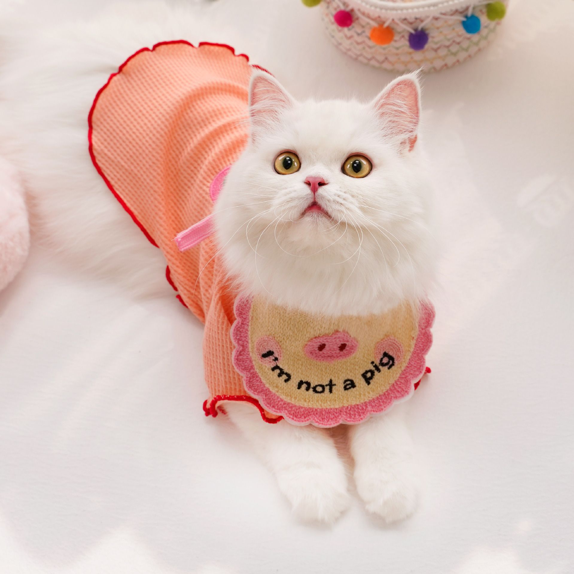Pet Drool Bib