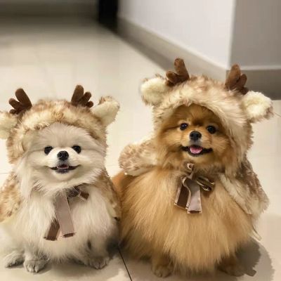 Pet Reindeer Cape