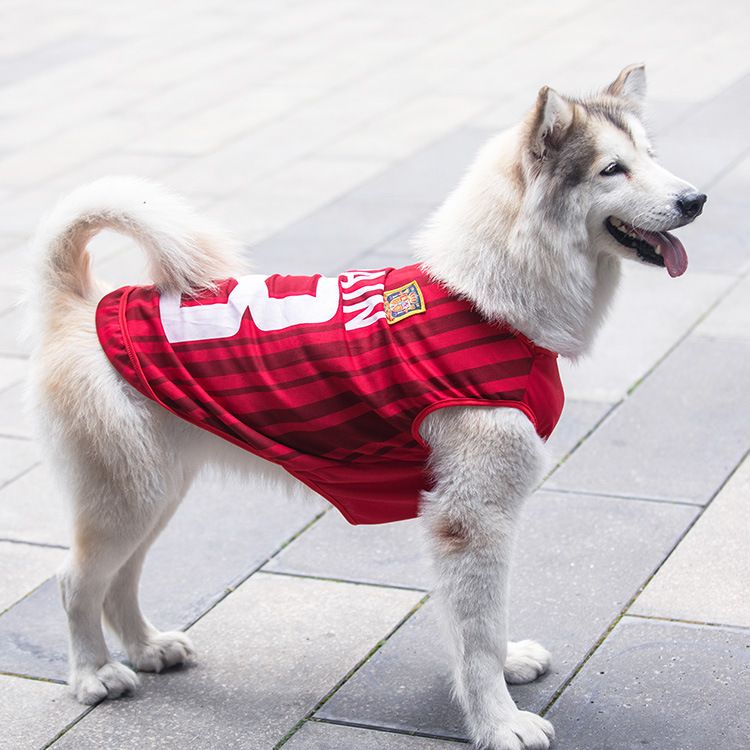 Pet Sports Tank