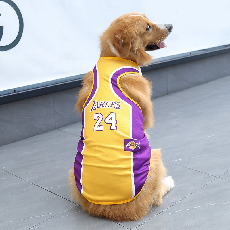 Pet Sports Tank