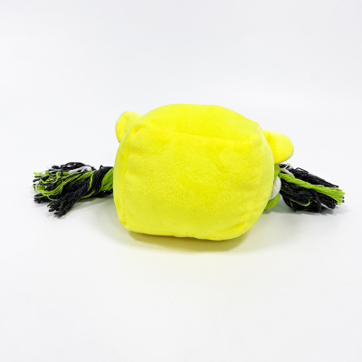 cotton rope toy