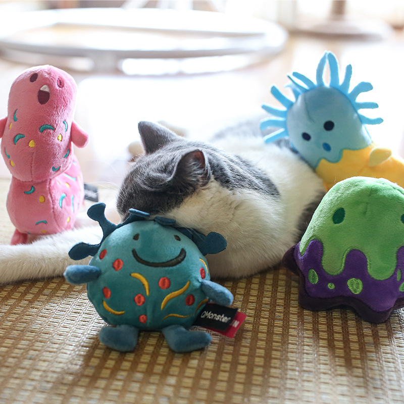Bacteria family Qmonster