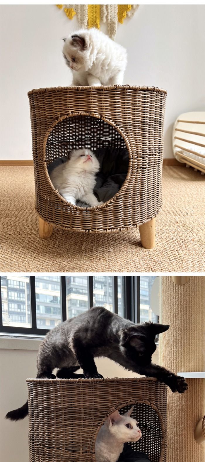 Provide your pets with comfort and style with our rattan pet bed. This half-enclosed, breathable design is perfect for cats and small dogs, offering warmth in winter and all-season versatility. Durable and lightweight, it’s an ideal cozy retreat for your furry friends.