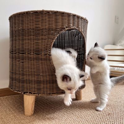 Rattan Pet Bed: Cozy and Breathable
