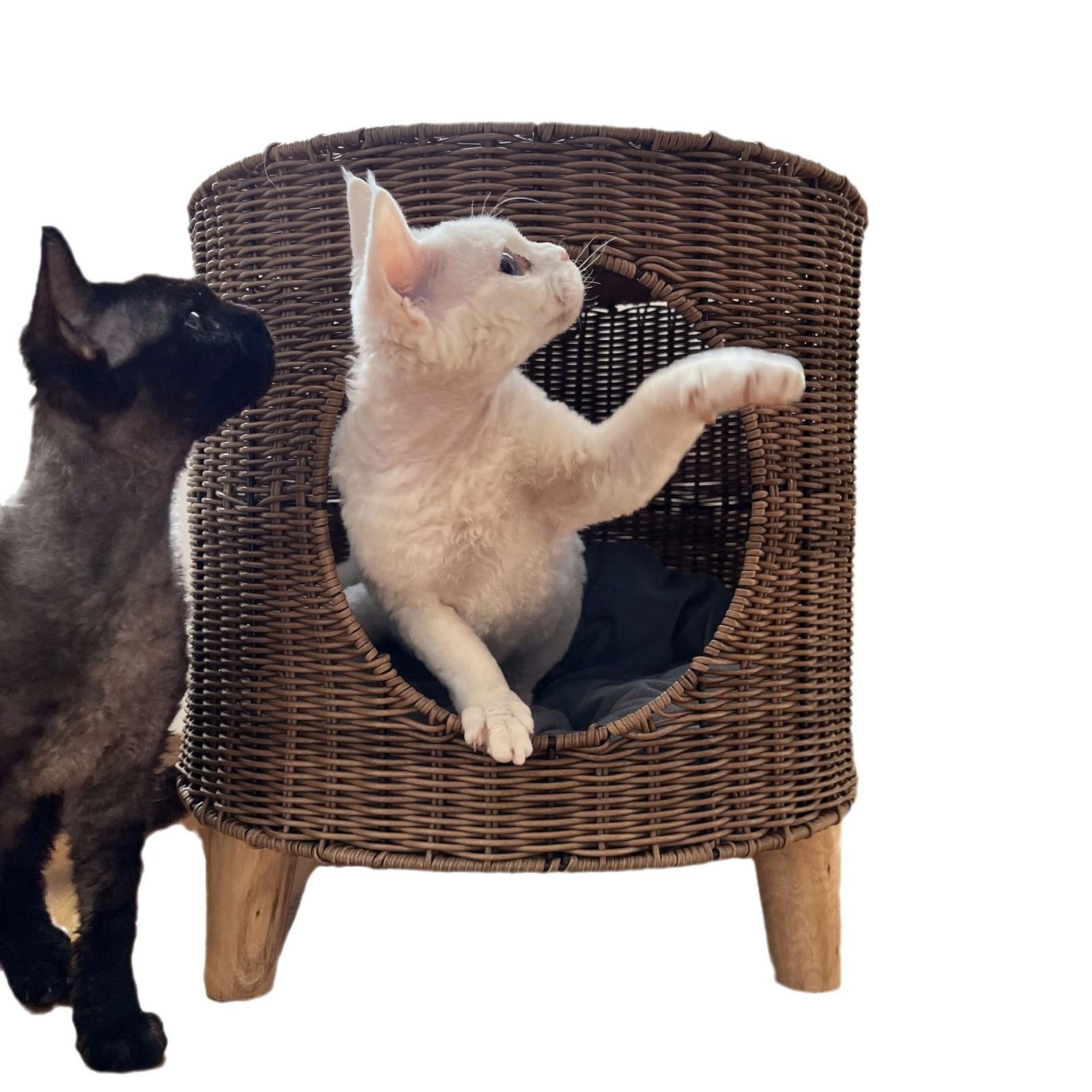 Rattan Pet Bed: Cozy and Breathable