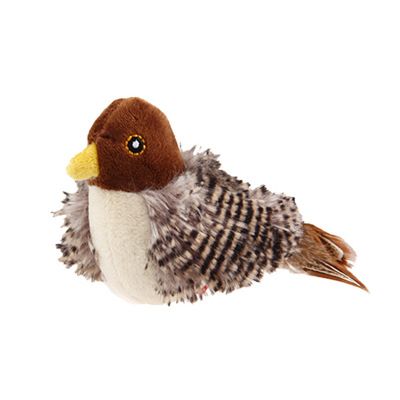 Squeaky Bird Toy for Cats