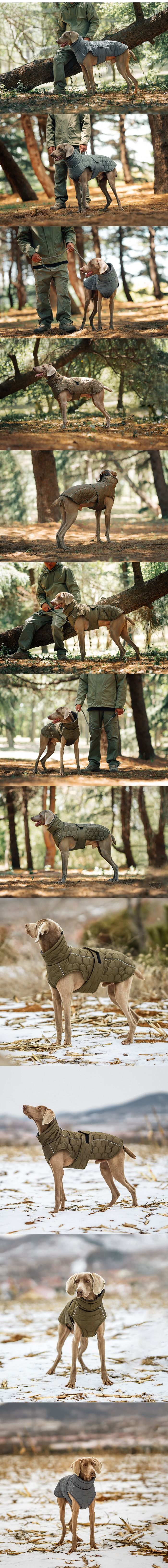 Keep your pets warm this winter with our thick, cozy dog jacket. Designed for autumn and winter, this new pet clothing is perfect for dogs and cats, offering extra warmth and comfort during cold weather outings
